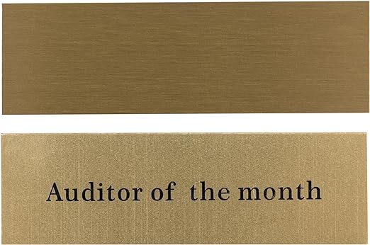 Everything Everywhere All Auditor of The Month Plug Throphy Custom - Image 2