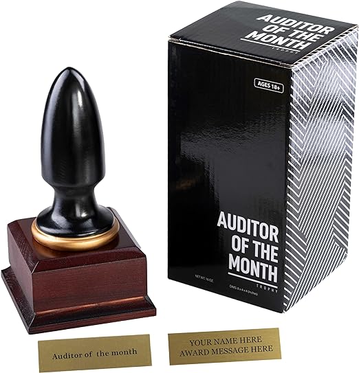 Everything Everywhere All Auditor of The Month Plug Throphy Custom - Image 3