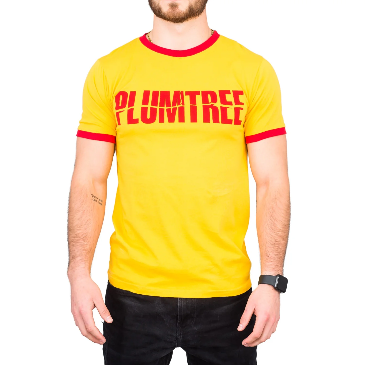 Plumtree Scott Pilgrim Band Logo T-shirt - Image 2
